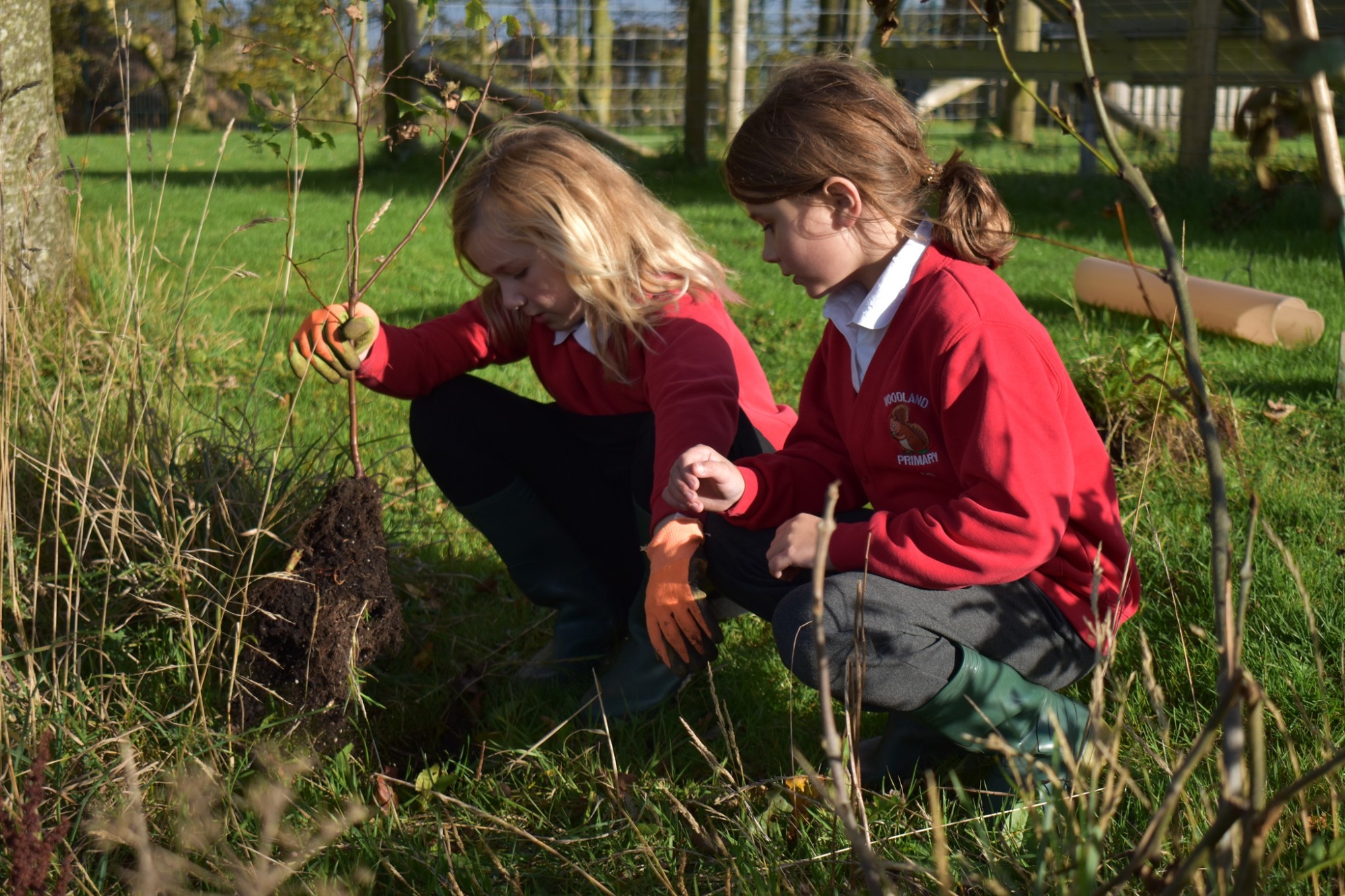 Woodland Primary School image